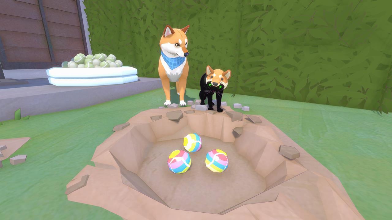 Hat 16: Shiba Hat