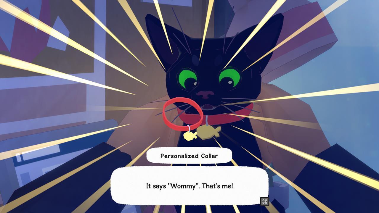 Personalized Collar